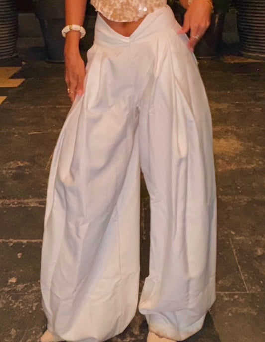 The v cut wide pants